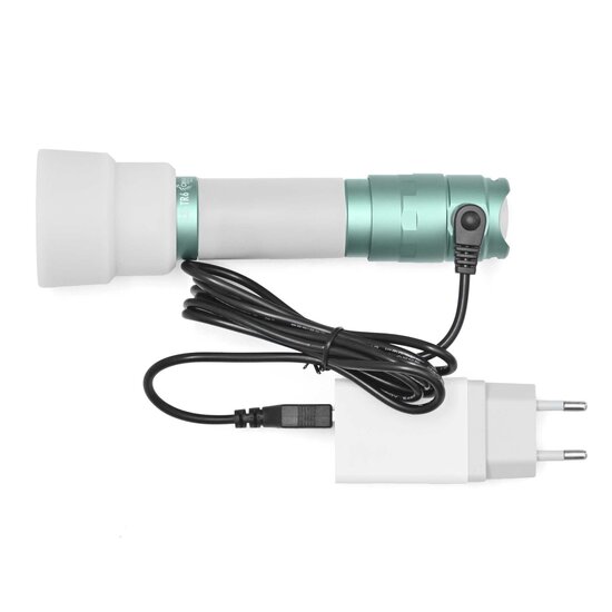 Flashlight LS-TR6