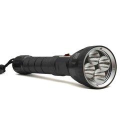 Flashlight LS-TT65M