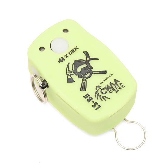 Firefighter Personal Alert Safety System LS-B5